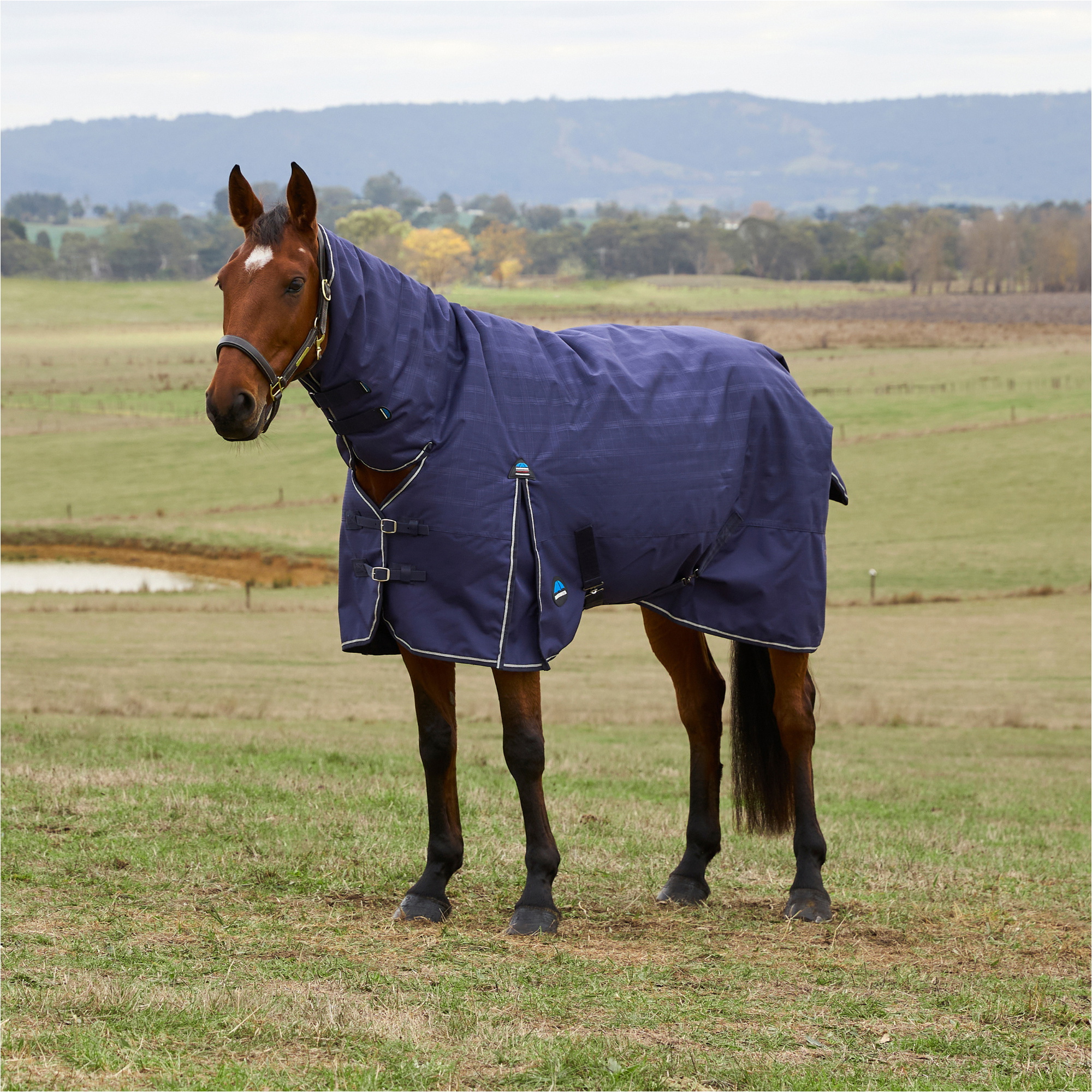 2025 Weatherbeeta Comfitec Vorläufig Sich Herausstellen Combo 220G 1029030 - Navy Embossed Plaid